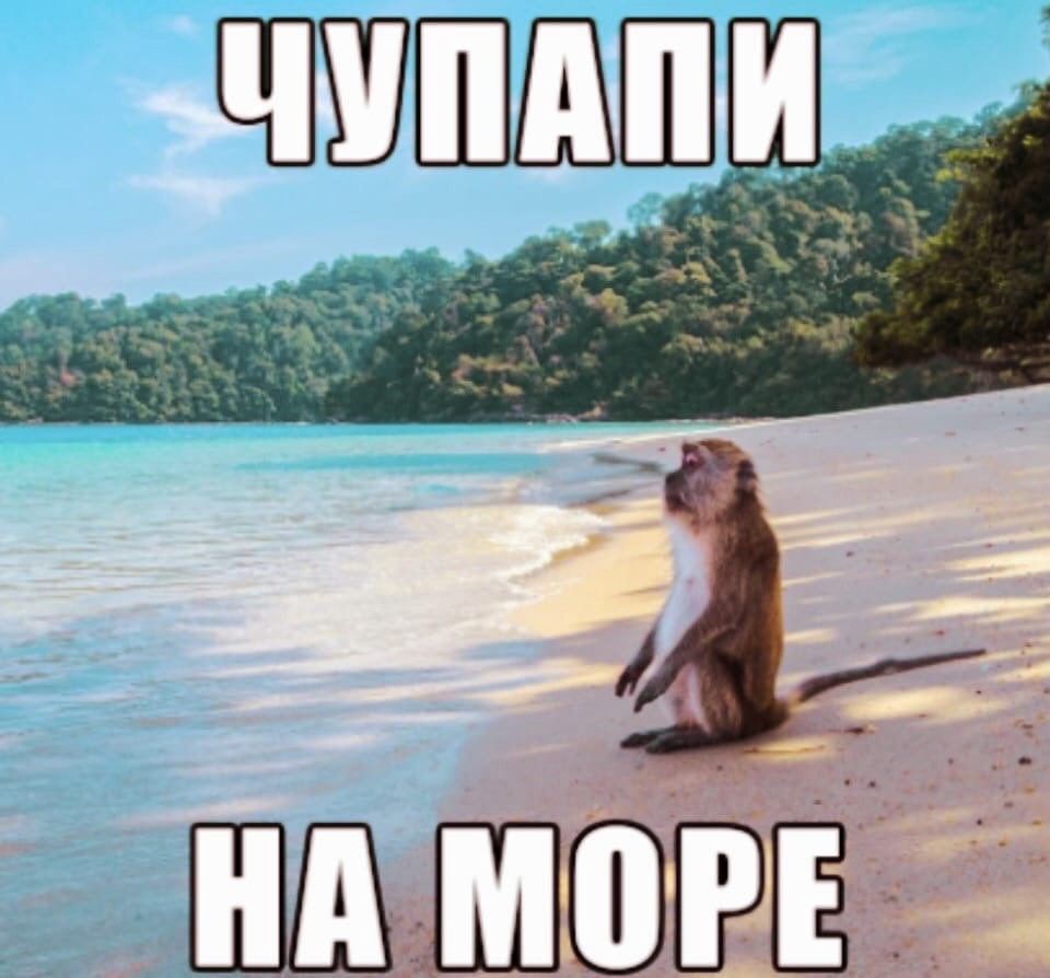 Мем про пикник на море
